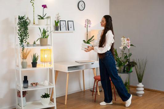 The Beauty of Minimalist Living: Less Clutter, More Clarity